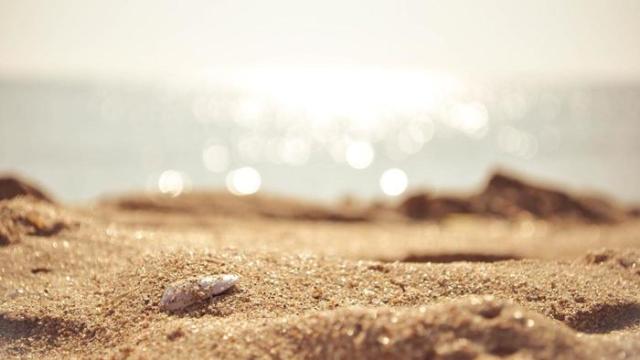 doesn-t-sand-dissolve-water_6edb45977e088070