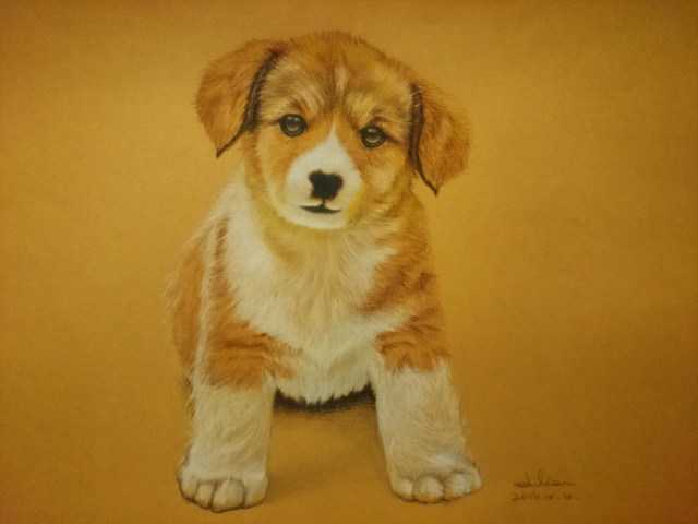 11257829_10153725211491137_2669935462177245045_o