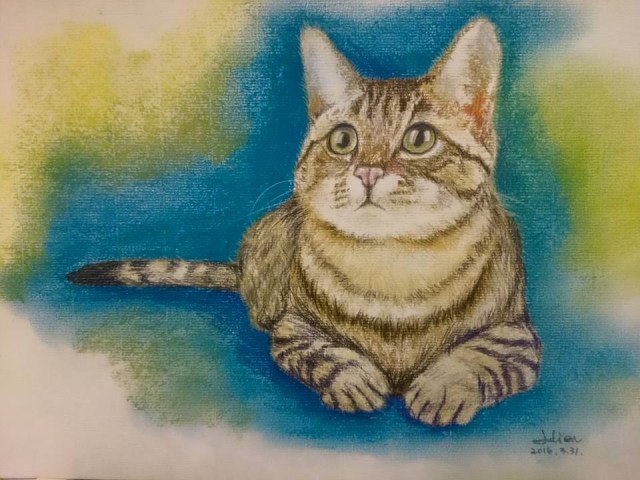 12923295_10153711799346137_1277426888064240118_n