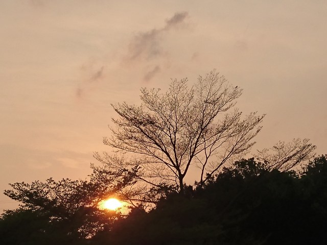 2016-04-16 17.30.12.jpg