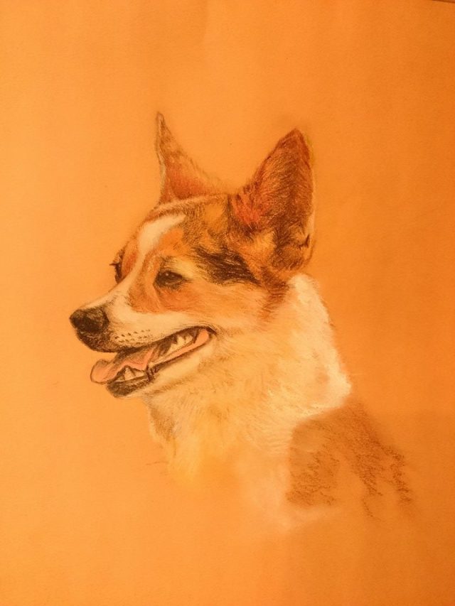 934779_10152364138856137_6334442604861546656_n