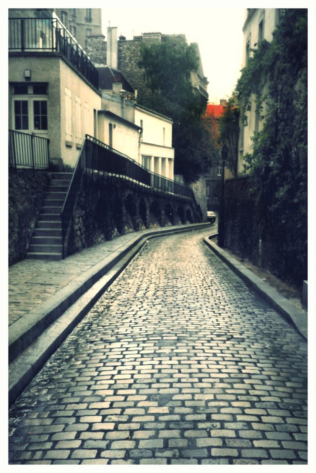 paris_street_by_fuamnach