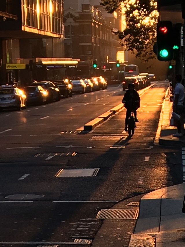 F54AFE22-B862-40E7-90A5-65ACE9614631